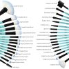 32pcs blue makeup brushes - default